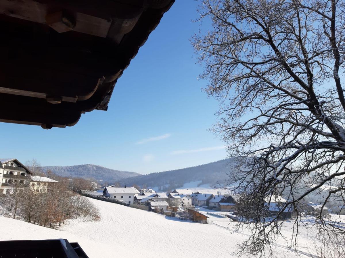 Ferienwohnung Freudensee Im Bayerischen Wald - Pool, Sauna Hauzenberg Buitenkant foto