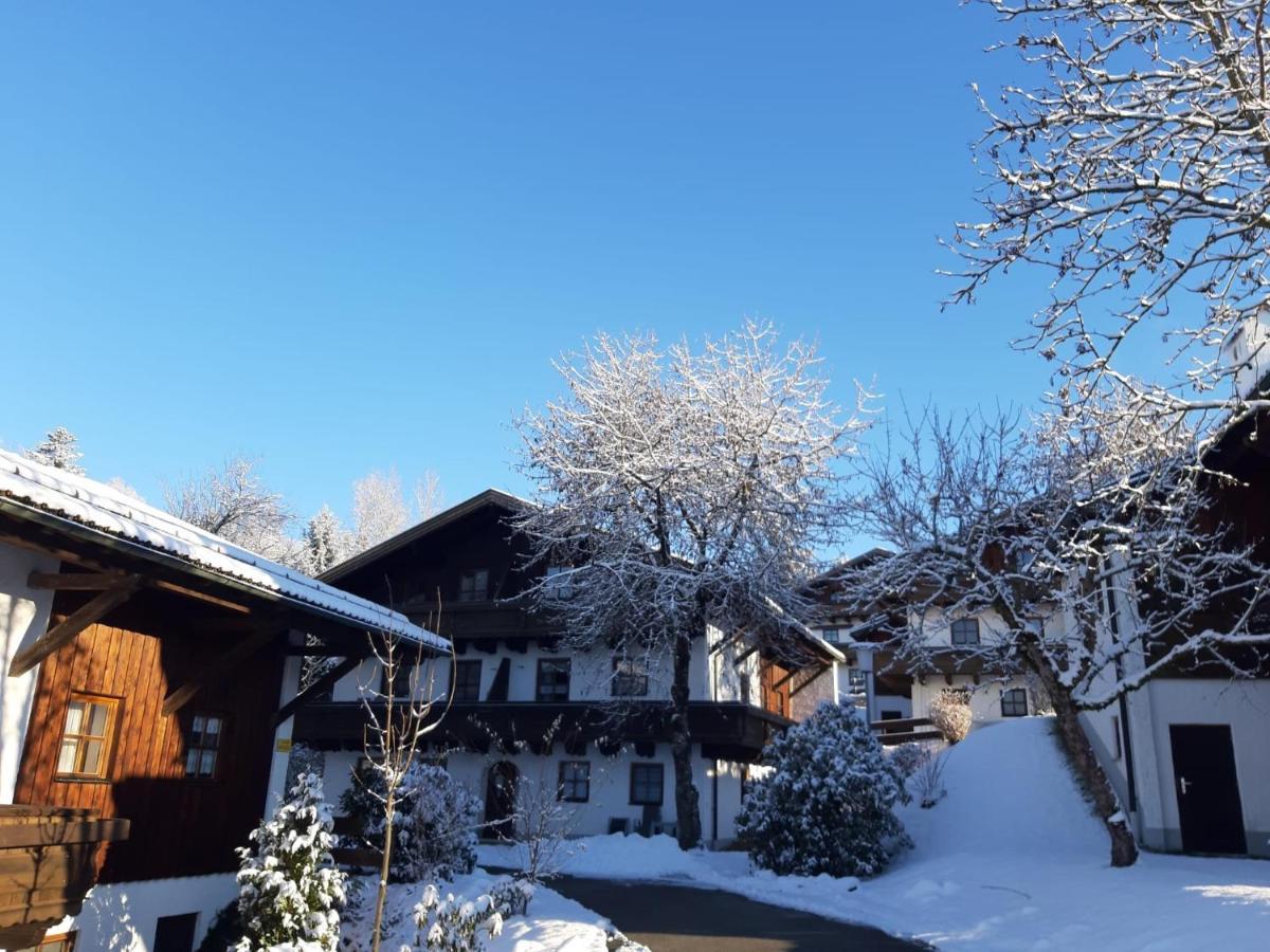 Ferienwohnung Freudensee Im Bayerischen Wald - Pool, Sauna Hauzenberg Buitenkant foto